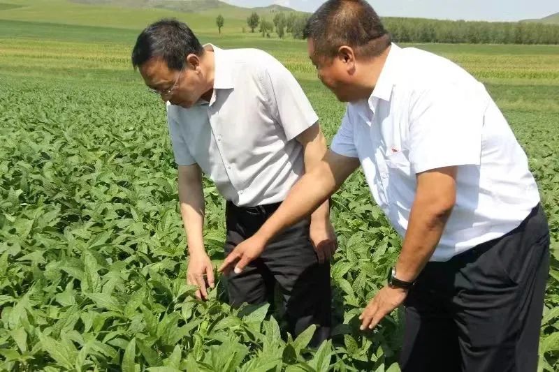 圖片關鍵詞 圖片
