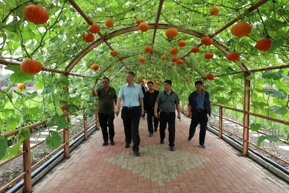 興安盟文化旅游體育局局長(zhǎng)斯欽都楞一行到吐列毛杜農(nóng)場(chǎng)（分公司）調(diào)研